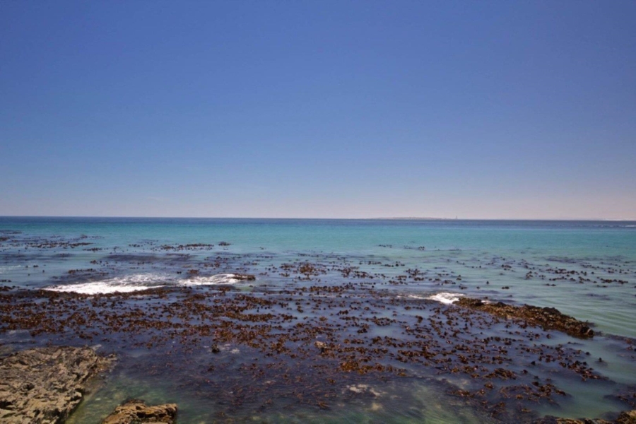 To Let 2 Bedroom Property for Rent in Mouille Point Western Cape